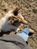 processed/d61cabab-e57b-462e-b7fa-6ca9697908db/listing/69ea6479-d635-416c-9355-fe9fde3b6f1b/5c976f1f-82fd-417c-8a50-e563386bbacd