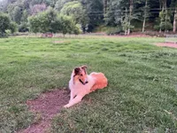 processed/d61cabab-e57b-462e-b7fa-6ca9697908db/listing/69ea6479-d635-416c-9355-fe9fde3b6f1b/8363fe41-253a-4032-a95b-6bf2405dd343