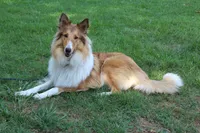 processed/d61cabab-e57b-462e-b7fa-6ca9697908db/listing/69ea6479-d635-416c-9355-fe9fde3b6f1b/86b80b1c-956e-4682-a698-b416ef8d6f41