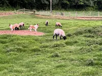 processed/d61cabab-e57b-462e-b7fa-6ca9697908db/listing/69ea6479-d635-416c-9355-fe9fde3b6f1b/a6f21541-7a5b-41dd-a341-594253ec9d66