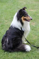 processed/d61cabab-e57b-462e-b7fa-6ca9697908db/listing/69ea6479-d635-416c-9355-fe9fde3b6f1b/fd4b2311-36e7-453a-931d-027d4bfad7a7