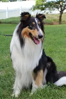 processed/d61cabab-e57b-462e-b7fa-6ca9697908db/listing/e0f96149-899a-4d80-a70d-b105127dfff2/2107e1f3-edd8-4a71-a7e0-d8ac52964de2