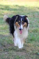 processed/d61cabab-e57b-462e-b7fa-6ca9697908db/listing/e0f96149-899a-4d80-a70d-b105127dfff2/4ba0b542-7033-4e19-ab8a-baff8dcf2609