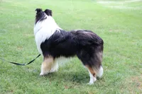 processed/d61cabab-e57b-462e-b7fa-6ca9697908db/listing/e0f96149-899a-4d80-a70d-b105127dfff2/4e0d4bd1-4c16-46de-b7c0-1a77fa0d3840