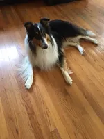 processed/d61cabab-e57b-462e-b7fa-6ca9697908db/listing/e0f96149-899a-4d80-a70d-b105127dfff2/6577ee1b-01a6-41a4-9205-7a0a498fd323