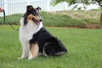 processed/d61cabab-e57b-462e-b7fa-6ca9697908db/listing/e0f96149-899a-4d80-a70d-b105127dfff2/8f641bf6-b2d0-4f12-abe4-454ea7c8b55f