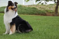 processed/d61cabab-e57b-462e-b7fa-6ca9697908db/listing/e0f96149-899a-4d80-a70d-b105127dfff2/9d2a4b26-dd6a-4dc0-ae08-5214a61ec461