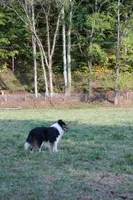 processed/d61cabab-e57b-462e-b7fa-6ca9697908db/listing/e0f96149-899a-4d80-a70d-b105127dfff2/ac2f0f22-999d-41ae-a148-0b0a81115bff