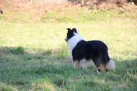 processed/d61cabab-e57b-462e-b7fa-6ca9697908db/listing/e0f96149-899a-4d80-a70d-b105127dfff2/dff30219-b83a-4c9f-91ab-c12f96d8c4e6