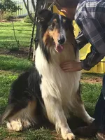 processed/d61cabab-e57b-462e-b7fa-6ca9697908db/listing/e0f96149-899a-4d80-a70d-b105127dfff2/fce3836e-4b2d-47c9-a4f6-e22716ff7a85