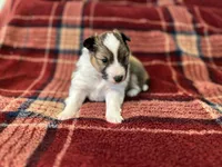 processed/d61cabab-e57b-462e-b7fa-6ca9697908db/listing/e13b070e-2de7-403f-abb0-34518ba1fcaa/2650405c-a3ec-417e-b6ea-952aaa248a78