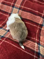 processed/d61cabab-e57b-462e-b7fa-6ca9697908db/listing/e13b070e-2de7-403f-abb0-34518ba1fcaa/722fa021-5d6c-4f2e-9448-75eac488b970