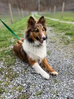 processed/d61cabab-e57b-462e-b7fa-6ca9697908db/listing/e13b070e-2de7-403f-abb0-34518ba1fcaa/841f16a6-7067-4703-ac50-1ce07637cad8