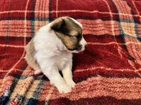 processed/d61cabab-e57b-462e-b7fa-6ca9697908db/listing/e13b070e-2de7-403f-abb0-34518ba1fcaa/e2a97a61-9ce9-40da-a54c-e39c4d071f55