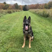 processed/d62364b1-95cb-4a37-8f55-5a85de3c02aa/facility/2e22823e-bb7b-4a4c-9934-9b8befc99834