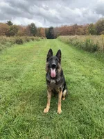 processed/d62364b1-95cb-4a37-8f55-5a85de3c02aa/facility/2e22823e-bb7b-4a4c-9934-9b8befc99834