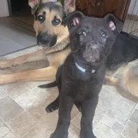 processed/d62364b1-95cb-4a37-8f55-5a85de3c02aa/facility/3c1df2cd-4c11-464f-ac05-5703114e6a28