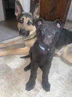 processed/d62364b1-95cb-4a37-8f55-5a85de3c02aa/facility/3c1df2cd-4c11-464f-ac05-5703114e6a28