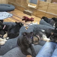 processed/d62364b1-95cb-4a37-8f55-5a85de3c02aa/facility/83eecd09-ae3d-4239-b110-08513794bf41