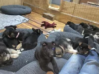 processed/d62364b1-95cb-4a37-8f55-5a85de3c02aa/facility/83eecd09-ae3d-4239-b110-08513794bf41