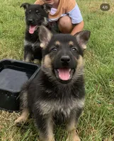 processed/d62364b1-95cb-4a37-8f55-5a85de3c02aa/facility/a24e62f5-3316-4025-b6e8-1d2c46b1f98a