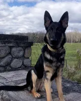 processed/d62364b1-95cb-4a37-8f55-5a85de3c02aa/facility/c0e84f83-009b-466d-bbe2-08655f71cb77