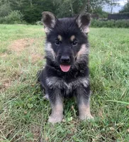 processed/d62364b1-95cb-4a37-8f55-5a85de3c02aa/facility/dd277e01-27c7-4db9-8453-08c5e695737d