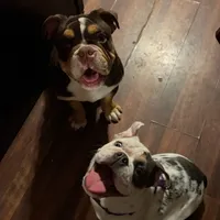 processed/d623d9d8-1fe4-4411-b75b-b26e1031c866/facility/2c521628-274f-4377-b64c-8a664ee7a24f