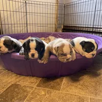 processed/d623d9d8-1fe4-4411-b75b-b26e1031c866/facility/7a8c3edc-4c6e-456b-b837-4e2239a59844