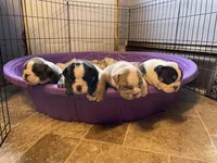 processed/d623d9d8-1fe4-4411-b75b-b26e1031c866/facility/7a8c3edc-4c6e-456b-b837-4e2239a59844