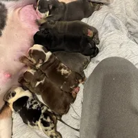 processed/d623d9d8-1fe4-4411-b75b-b26e1031c866/facility/82759dd5-c79f-4e86-b8de-4378159b2c25