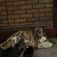 processed/d623d9d8-1fe4-4411-b75b-b26e1031c866/facility/829d2a4d-9089-45c2-b9a7-361bb1df2ee6