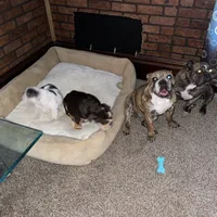 processed/d623d9d8-1fe4-4411-b75b-b26e1031c866/facility/91815c59-8a9f-4114-a928-3f4b3327131a