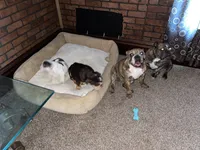 processed/d623d9d8-1fe4-4411-b75b-b26e1031c866/facility/91815c59-8a9f-4114-a928-3f4b3327131a