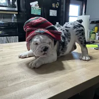 processed/d623d9d8-1fe4-4411-b75b-b26e1031c866/facility/d0a4b446-421a-429e-854f-d83740b2b1d1