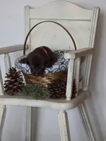 Orange collar, a female Labrador Retriever for sale in Flora, IL – Photo 1 of 2