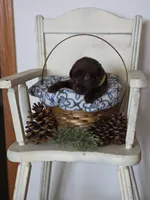 processed/d62c848e-b671-4164-9aea-9edbb68b178f/listing/f78a5e5a-cca2-456e-8382-a6f9b3fbddba/ef756b66-3202-41c6-b42e-f6e46fd0d735