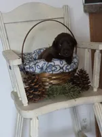 processed/d62c848e-b671-4164-9aea-9edbb68b178f/listing/f78a5e5a-cca2-456e-8382-a6f9b3fbddba/fb041f06-fbc1-45cc-bc1d-f6a7d3fead37