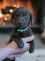 processed/d62c848e-b671-4164-9aea-9edbb68b178f/listing/fd4db4a2-20ca-4c09-a892-3f628a057f08/07eca909-cded-4218-affe-67574191a8fd