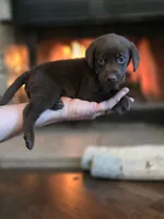 processed/d62c848e-b671-4164-9aea-9edbb68b178f/listing/fd4db4a2-20ca-4c09-a892-3f628a057f08/3bac6eff-a01f-44a4-99f6-859144e3d4a0