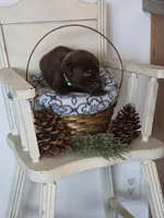 processed/d62c848e-b671-4164-9aea-9edbb68b178f/listing/fd4db4a2-20ca-4c09-a892-3f628a057f08/7690807e-a5f4-480f-8652-92442a4a9cb2