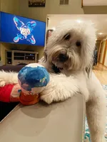 processed/d6317161-1401-4493-a5dc-f5f67e7458dc/facility/1f0e98ce-1aa1-49a2-ab15-54e6b0615e83