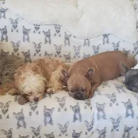 processed/d6317161-1401-4493-a5dc-f5f67e7458dc/facility/51b5840b-f8d9-47c0-96f5-e42fa29ebae2