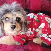 processed/d6317161-1401-4493-a5dc-f5f67e7458dc/facility/7d010aee-327d-455e-9093-de63c2f5c944