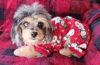 processed/d6317161-1401-4493-a5dc-f5f67e7458dc/facility/7d010aee-327d-455e-9093-de63c2f5c944