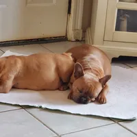 processed/d6317161-1401-4493-a5dc-f5f67e7458dc/facility/b6b84627-02b0-4206-b406-6405a36df19f