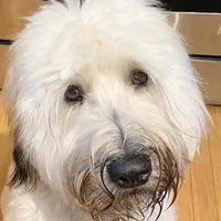 processed/d6317161-1401-4493-a5dc-f5f67e7458dc/facility/d618f317-c93f-4b0c-9079-2dd425d7d616