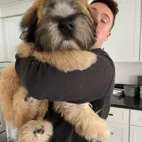 processed/d6317161-1401-4493-a5dc-f5f67e7458dc/facility/f46946b6-23e6-411e-bea2-9a250cc98b4b