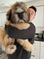 processed/d6317161-1401-4493-a5dc-f5f67e7458dc/facility/f46946b6-23e6-411e-bea2-9a250cc98b4b