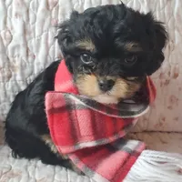 processed/d6317161-1401-4493-a5dc-f5f67e7458dc/facility/f77ffa27-fb0b-4f9b-bb54-feee7a8a1026